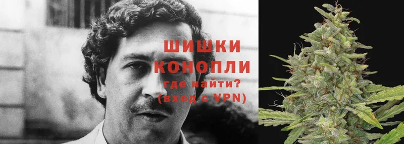 Конопля Ganja  Белоярский 